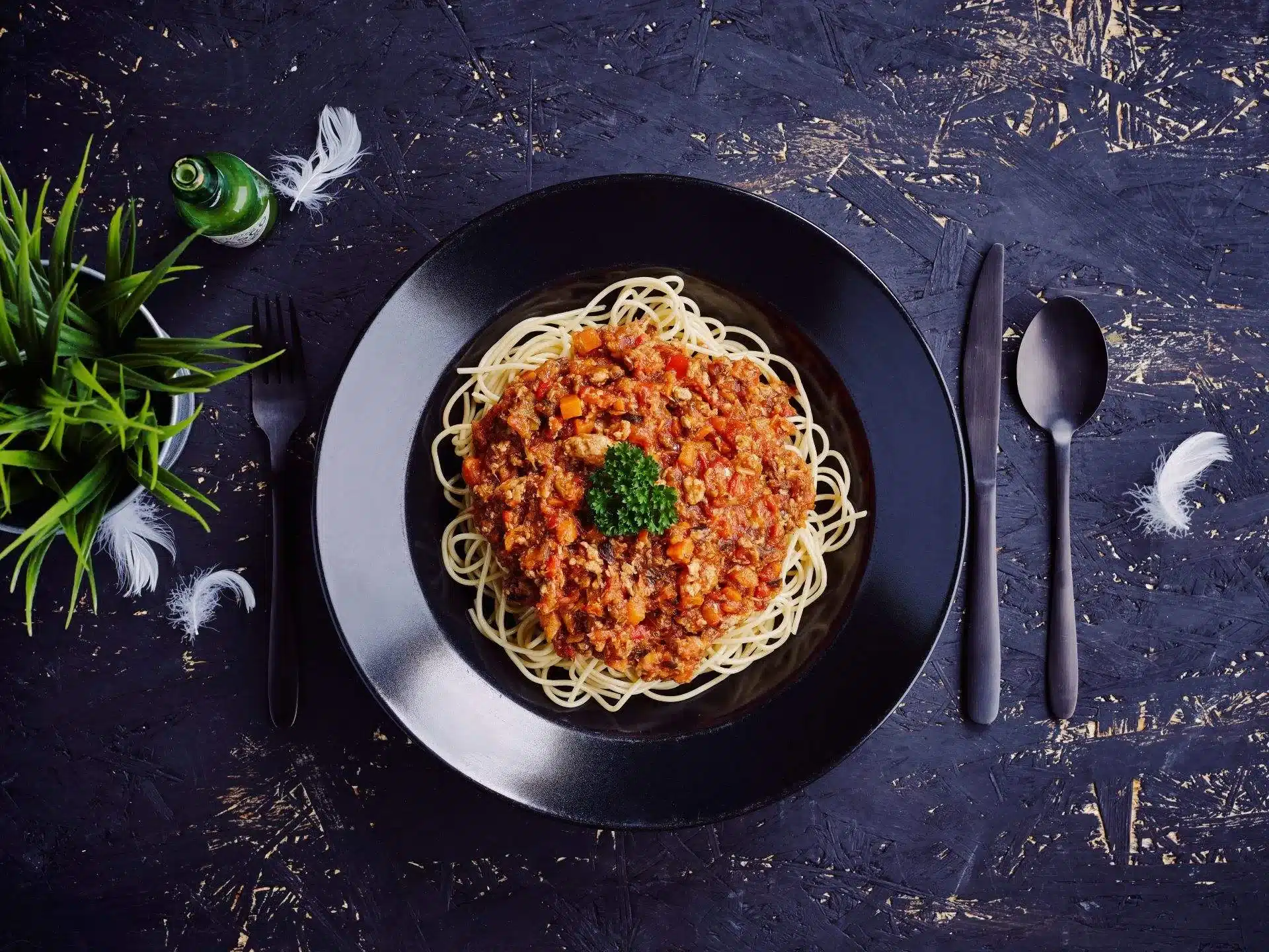 Mister B chicken compressed Spaghetti met Mister B. A Chicken - Mister Spaghetti